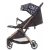 Chipolino Easy Go sport babakocsi - Ebony